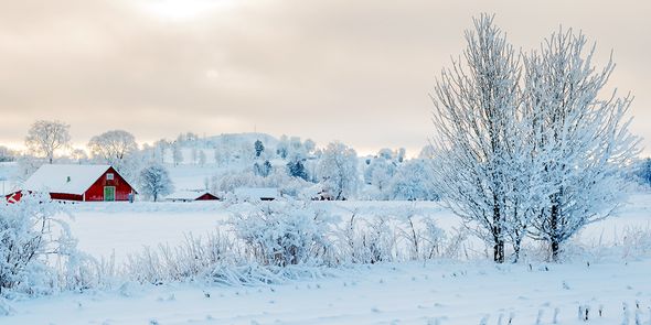 Tips för vinterfotografering