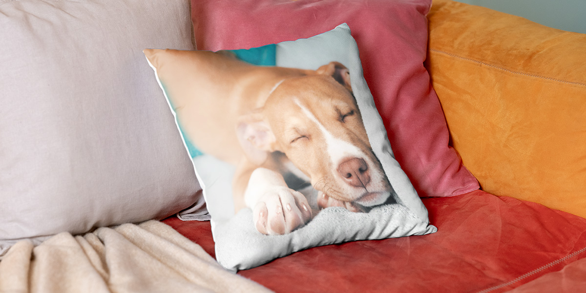 Sju enkla fotojulklappar du kan göra på en kvart