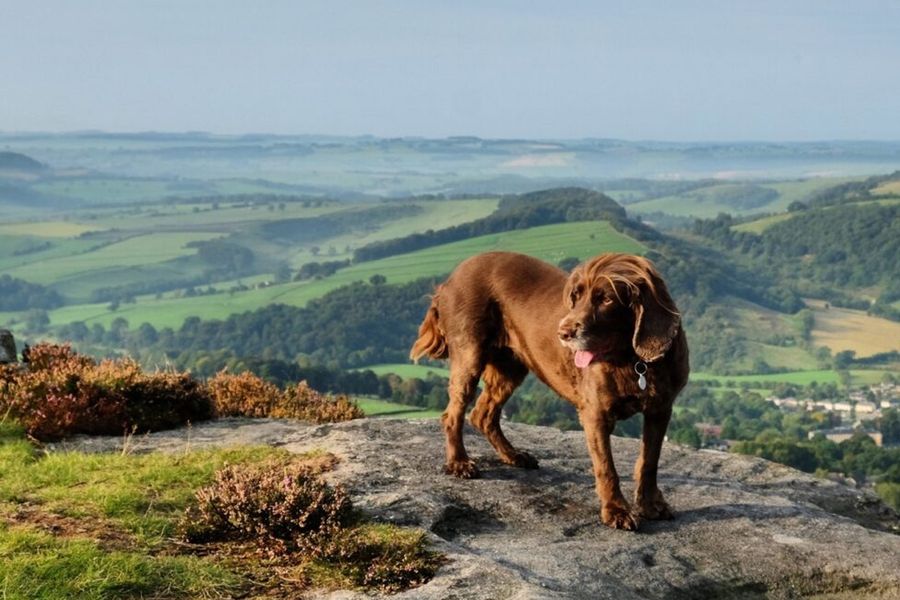 Vidsträckta hedlandskap och charmiga stenbyar i Peak Districts nationalpark i Storbritannien, en av Europas vackraste parker i önskefotos guide.