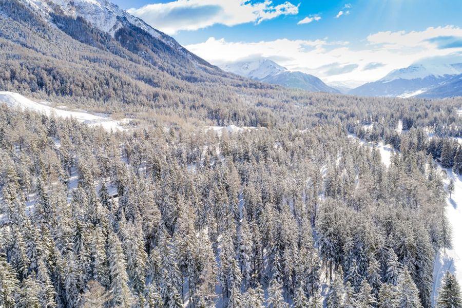 Blomstrande alpängar och fjällsjöar i Parc Ela i Schweiz, Schweiz största naturpark och en av Schweiz bästa nationalparker i önskefotos guide.