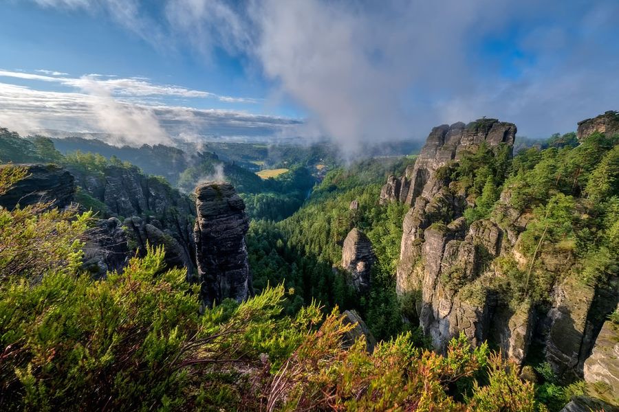 Märkliga sandstenspelare reser sig över dimmiga gröna skogar nära den historiska Basteibron i Sachsiska Schweiz nationalpark i Tyskland, en av de bästa nationalparkerna Tyskland har att erbjuda i önskefotos guide.