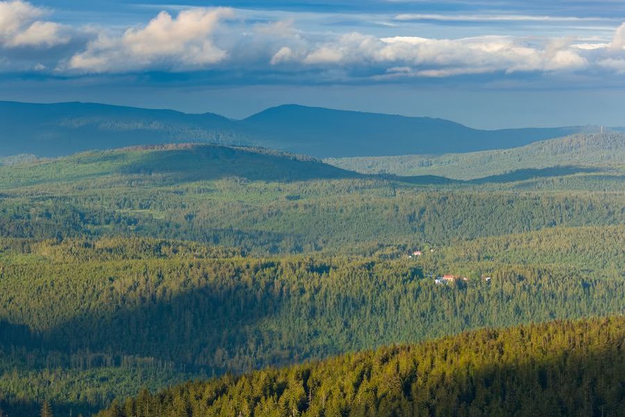 Oändliga tallskogar och glaciärsjöar sträcker sig över Šumavas nationalpark i Tjeckien, ofta kallad 
