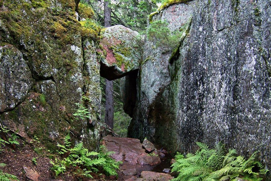 Täta granskogar möter de steniga stränderna vid Östersjön i Skuleskogens nationalpark på Höga kusten i Sverige, en av Europas bästa nationalparker i önskefotos guide.
