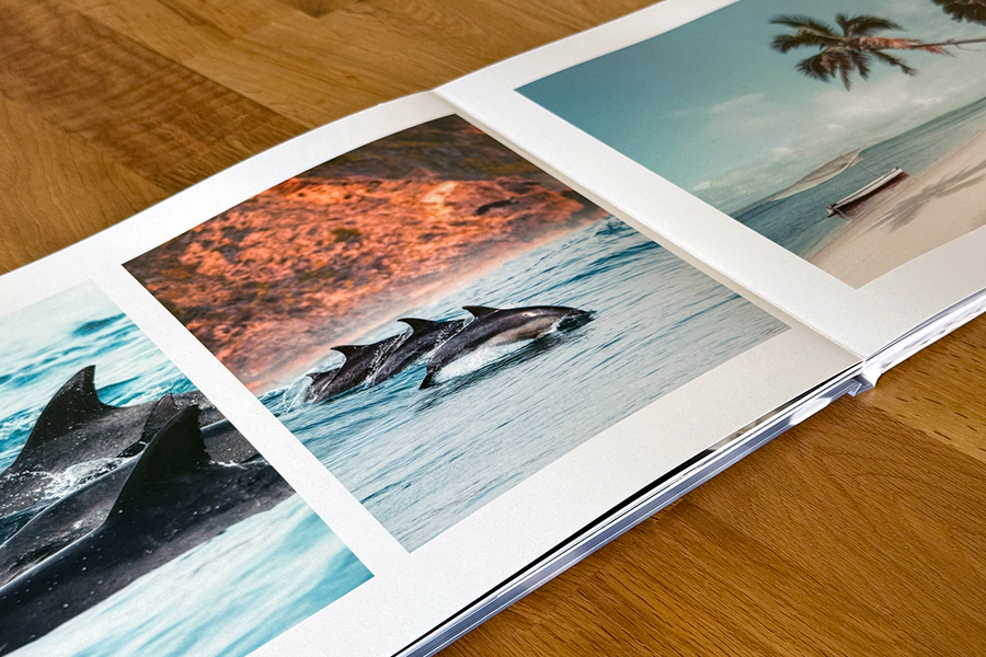 Ett öppet uppslag från Charl van Rooys fotobok visar tropiska bilder, bland annat simmande delfiner och en tropisk strandscen, vilket illustrerar den visuella berättelsen i hans fotografiportfolio.