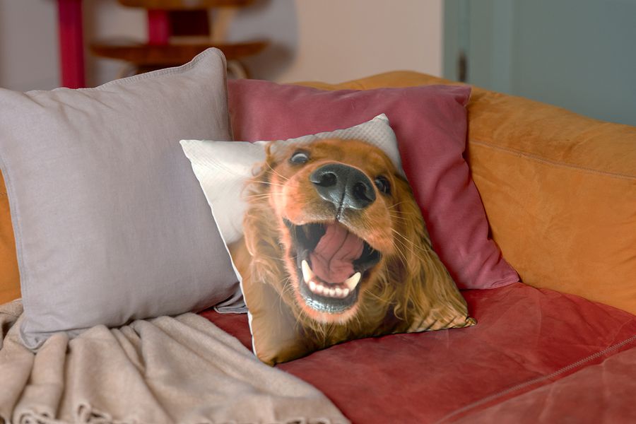 En personlig kudde med en bild av en hund ligger på en röd sammetssoffa, vilket illustrerar hur en önskefoto-kudde ger mjuk textur åt ett hygge-hem.