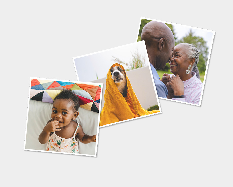 Tre magneter med bilder på en familj och deras hund