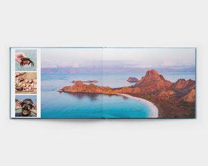 Foton utspridda över sidor i Panorama Deluxe-fotobok