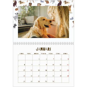 Fotokalender A3 Klassisk — Lekfull valp