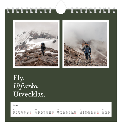 Årskalender kvadratisk — Redaktionell Jord [Mars]