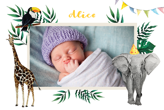 Inbjudningar — Akvarell djur