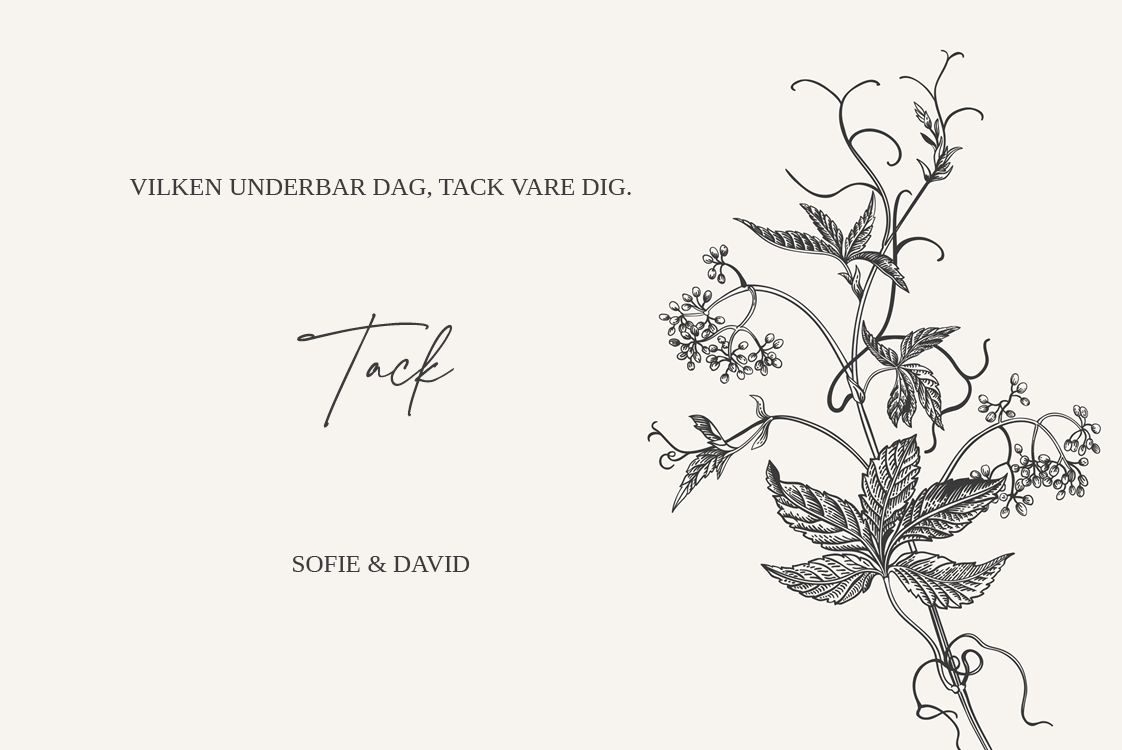 Tack — Bläck & murgröna