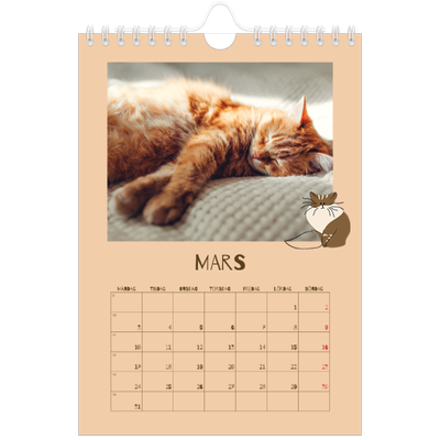 Fotokalender A5 Enkel — Lekfull kattunge [Mars]