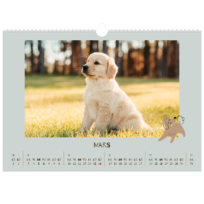 Fotokalender A3 Enkel — Lekfull valp [Mars]