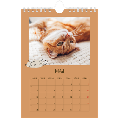 Fotokalender A5 Enkel — Lekfull kattunge [omslag]