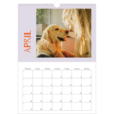 A3 Årskalender — Färgglad kalender [April]