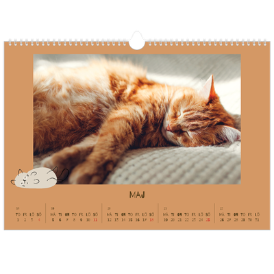 Fotokalender A3 Enkel — Lekfull kattunge [omslag]