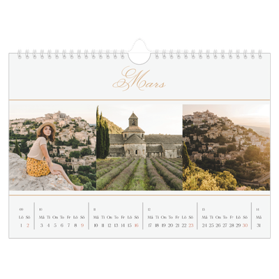 Fotokalender A4 Enkel — Elegant guld [Mars]