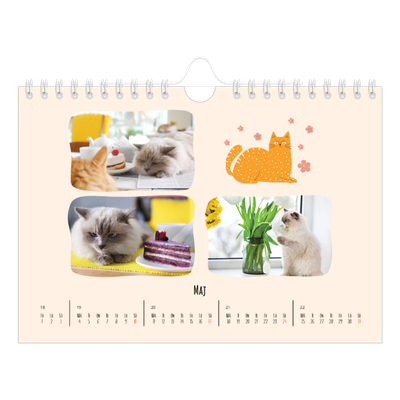 Fotokalender A5 Enkel — Kattassistentar och klotter [omslag]