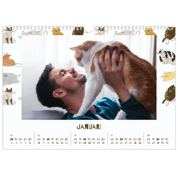Fotokalender A3 Enkel — Lekfull kattunge