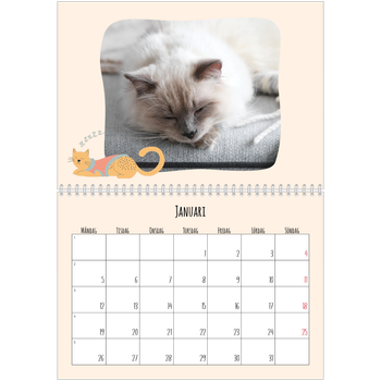 Fotokalender A3 Klassisk — Kattassistentar och klotter