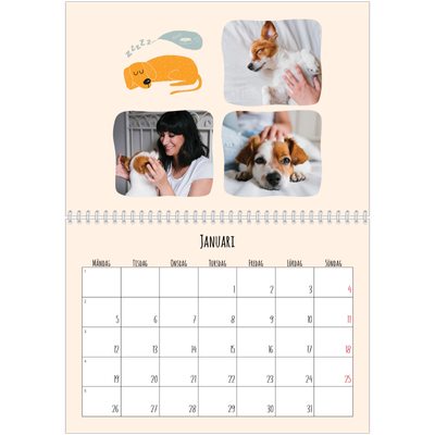 Fotokalender A3 Klassisk (30 x 40 cm) — Hundtassar och klotter [Januari]