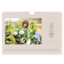 Fotokalender A4 Enkel — Enkel botanisk [Mars]