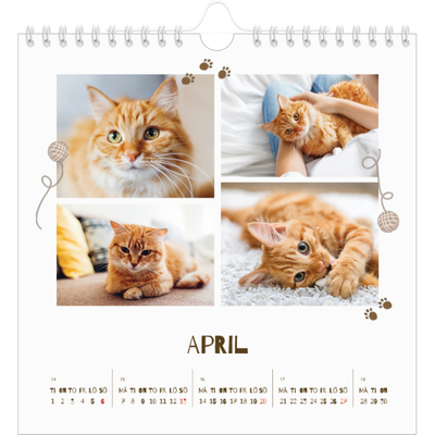 Årskalender kvadratisk — Lekfull kattunge [April]