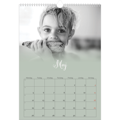 A3 Årskalender — Grön dimma [omslag]