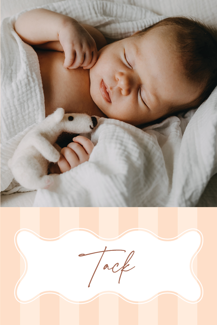 Tack — Pastellsnäckor