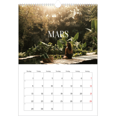 A3 Årskalender — Oändlig flykt [Mars]