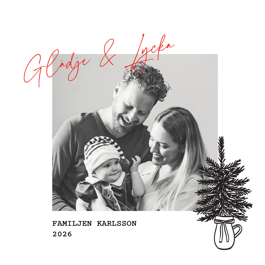 Fotokort — Tall på vintervit