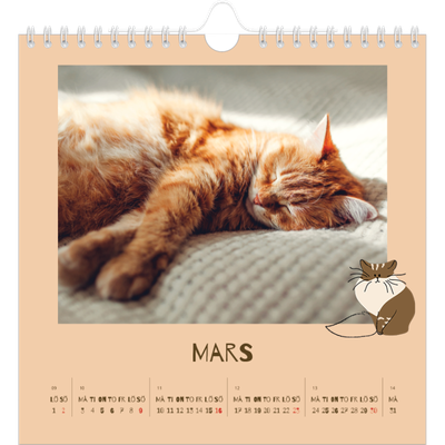 Årskalender kvadratisk — Lekfull kattunge [Mars]