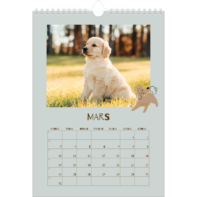 Fotokalender A4 Enkel (20 x 30 cm) — Lekfull valp [Mars]