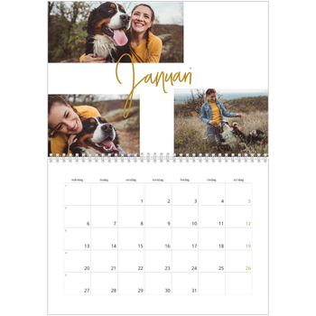 Fotokalender A3 Klassisk — Guldstift