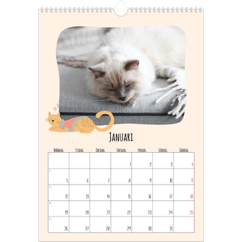 Fotokalender A3 Enkel — Kattassistentar och klotter