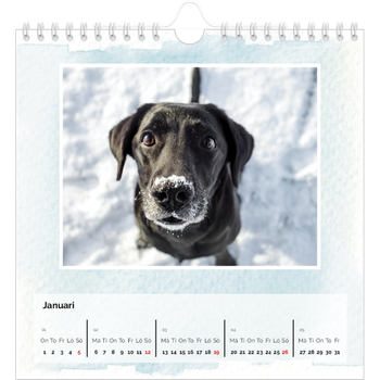Fotokalender Kvadratisk — Akvareller i bakgrunden