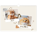 Fotokalender A3 Enkel — Lekfull kattunge [omslag]