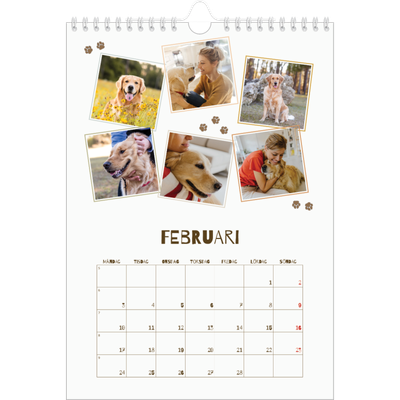 Fotokalender A4 Enkel (20 x 30 cm) — Lekfull valp [Februari]