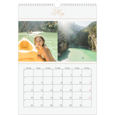 A3 Årskalender — Elegant guld [omslag]