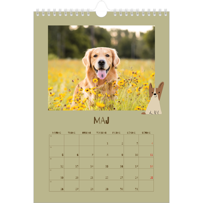 Fotokalender A4 Enkel (20 x 30 cm) — Lekfull valp [omslag]