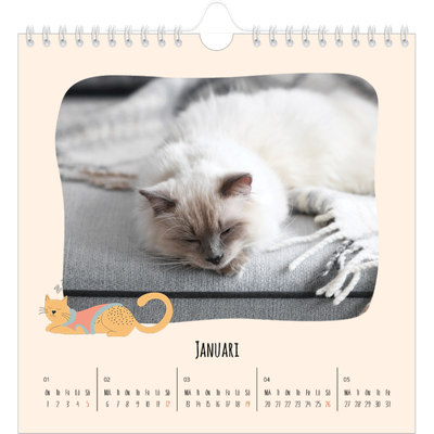 Årskalender kvadratisk — Kattassistentar och klotter [Januari]
