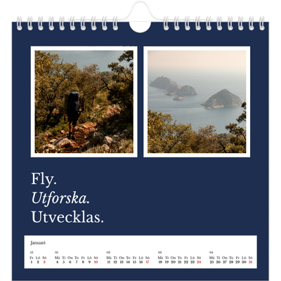 Årskalender kvadratisk — Redaktionell Jord [Januari]