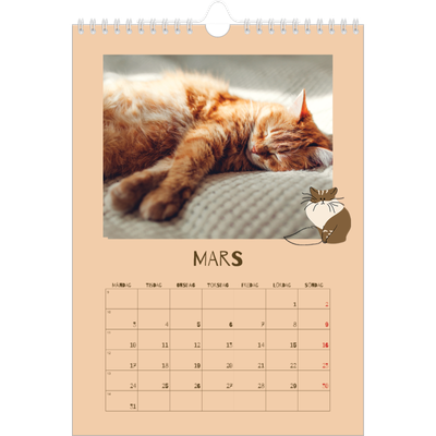 Fotokalender A4 Enkel (20 x 30 cm) — Lekfull kattunge [Mars]