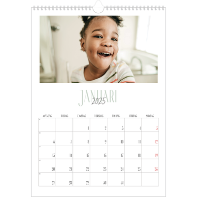 A3 Årskalender — Flera typsnitt [Januari]