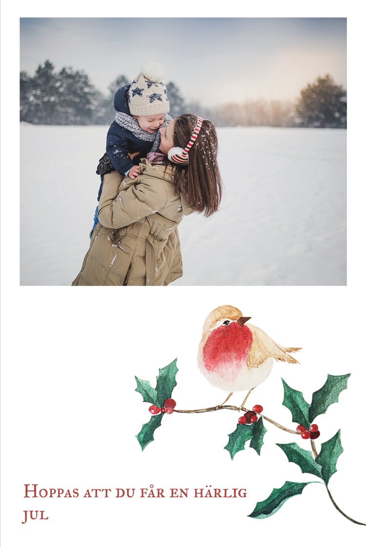 Fotokort — Hej rödhake!