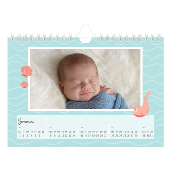 Fotokalender A5 Enkel — Söta djur
