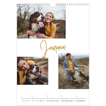 Fotokalender A3 Enkel — Guldstift