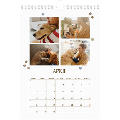 Fotokalender A4 Enkel (20 x 30 cm) — Lekfull valp [April]