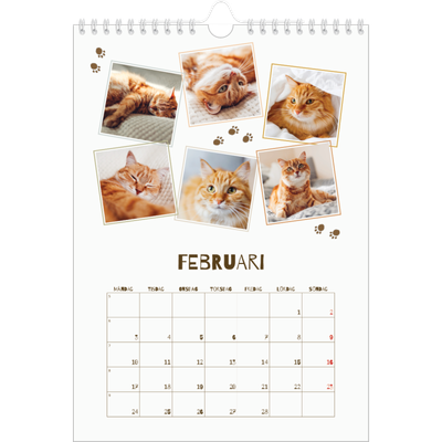 Fotokalender A4 Enkel (20 x 30 cm) — Lekfull kattunge [Februari]