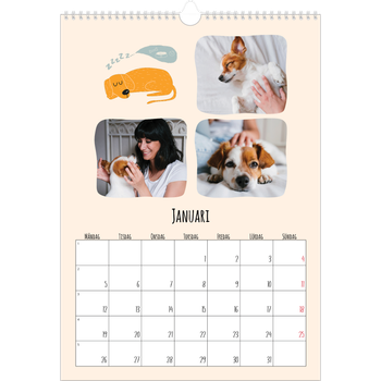 Fotokalender A3 Enkel — Hundtassar och klotter